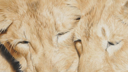 ANIMAL in ART – Eine Reise in die Welt der Tierkunst